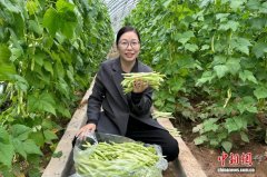 陕西韩城：村干部与她的七